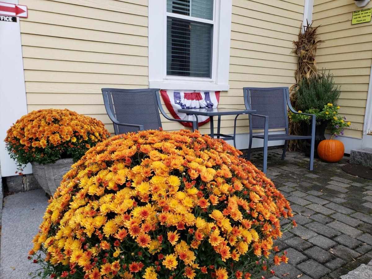 Elmere House Bed & Breakfast Wells Eksteriør bilde